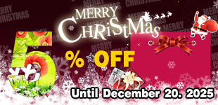 2025 Christmas Discount Event