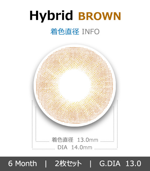 [6-Months] Hybrid Premium Brown (2pcs)4