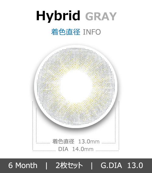 [6-Months] Hybrid Premium Gray (2pcs)4