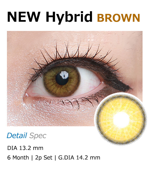[6-Months] New Hybrid Edge Brown (2pcs)