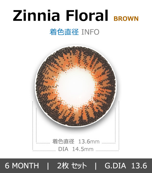 [Toric/6-Month] Zinnia Floral Toric Brown (2pcs)4