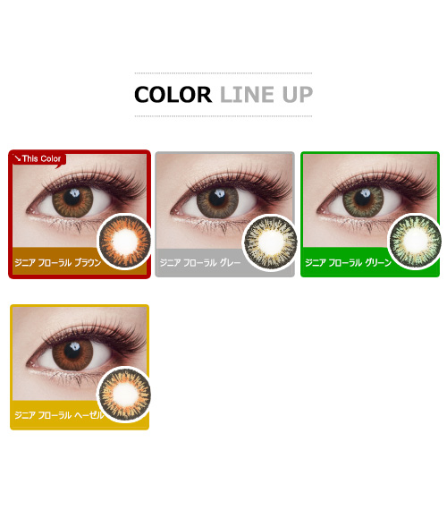 [Toric/6-Month] Zinnia Floral Toric Brown (2pcs)5