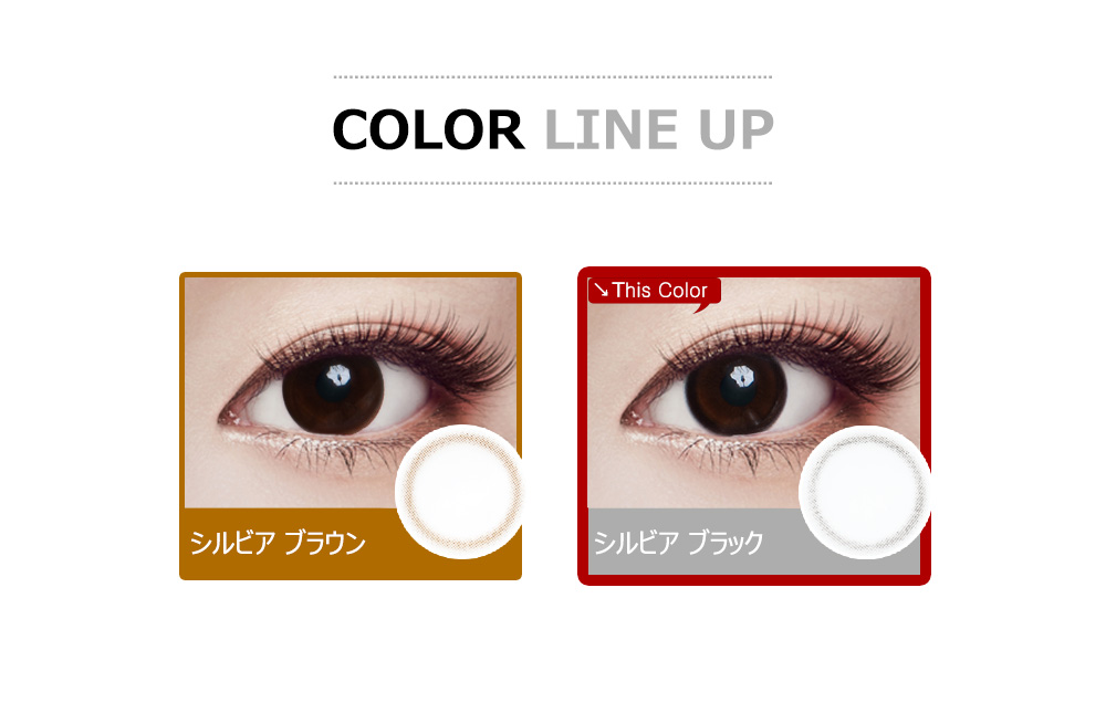 [Toric/6-Month] Sylvia Toric Black (2pcs)