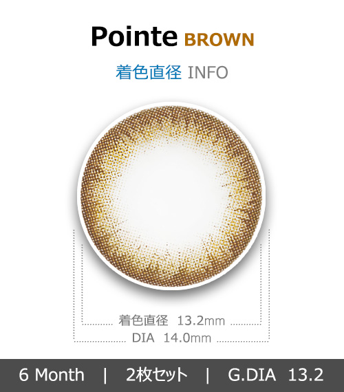 [6-Months] Pointe Brown (2pcs)4