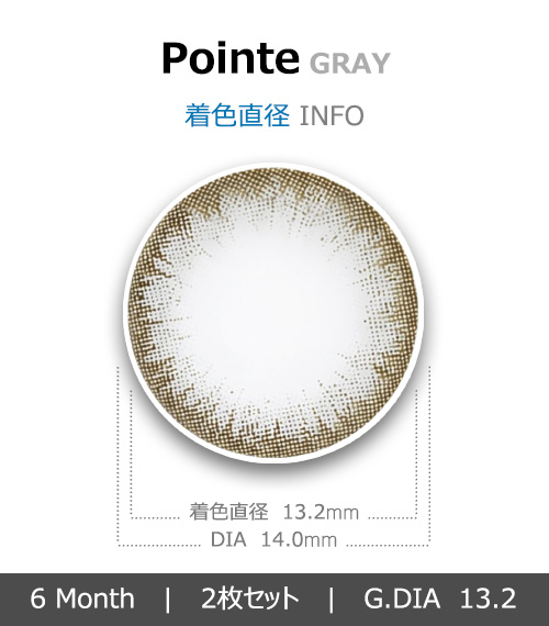 [6-Months] Pointe Gray (2pcs)4
