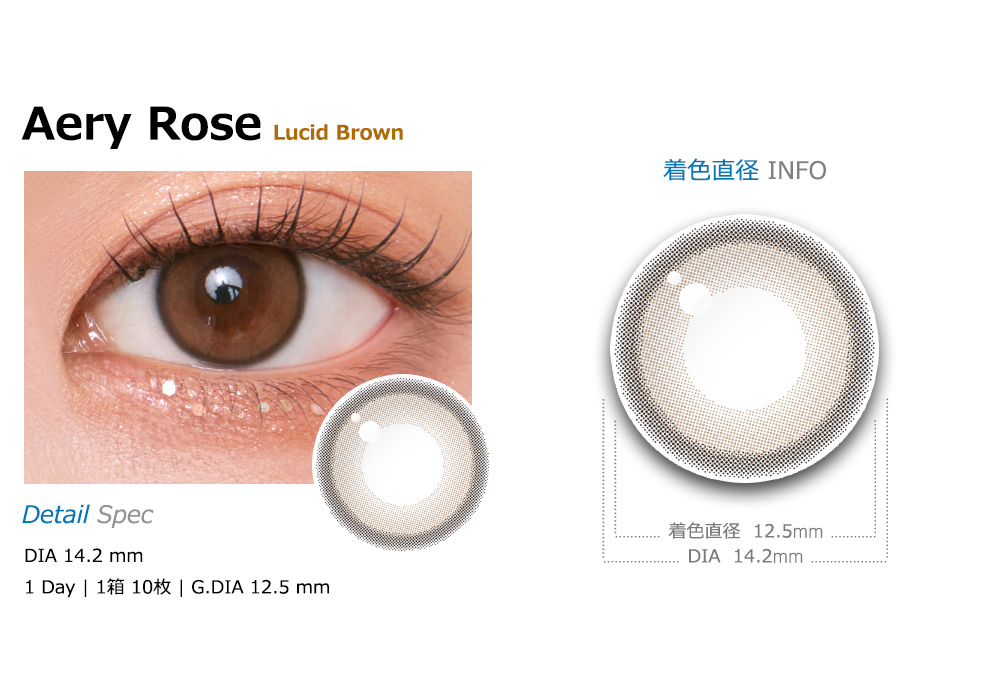 [1-Day] Aery Rose Lucid Brown (10pcs)