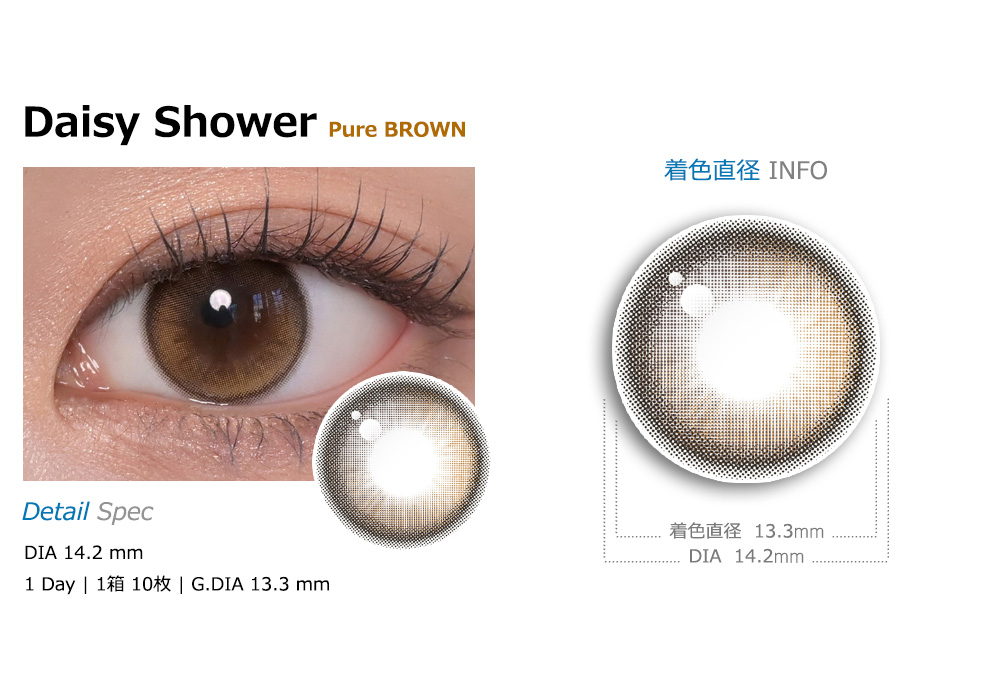 [1-Day] Daisy Shower Pure Brown (10pcs)