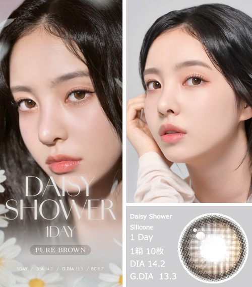 [1-Day] Daisy Shower Pure Brown (10pcs)3