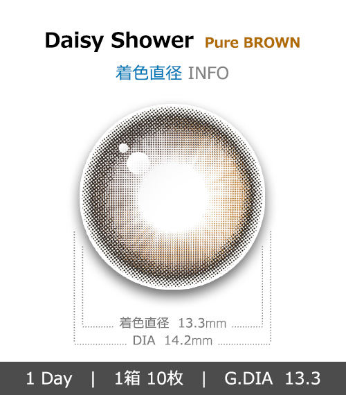 [1-Day] Daisy Shower Pure Brown (10pcs)4