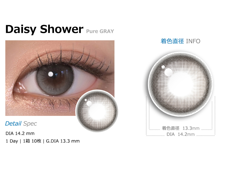 [1-Day] Daisy Shower Pure Gray (10pcs)