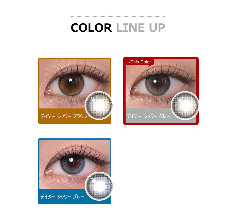 [1-Day] Daisy Shower Pure Gray (10pcs)