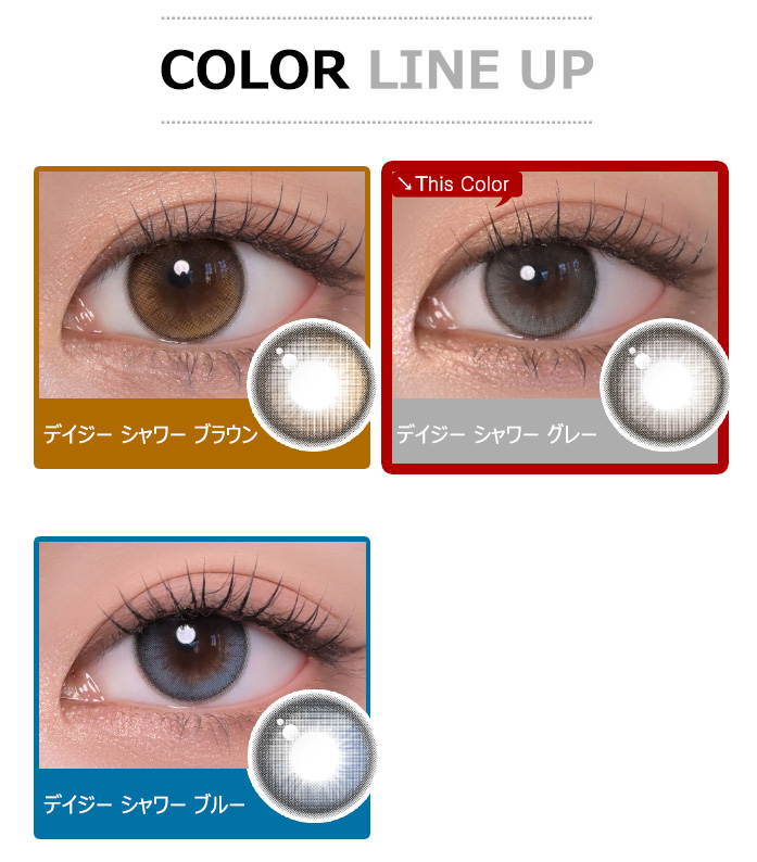 [1-Day] Daisy Shower Pure Gray (10pcs)5