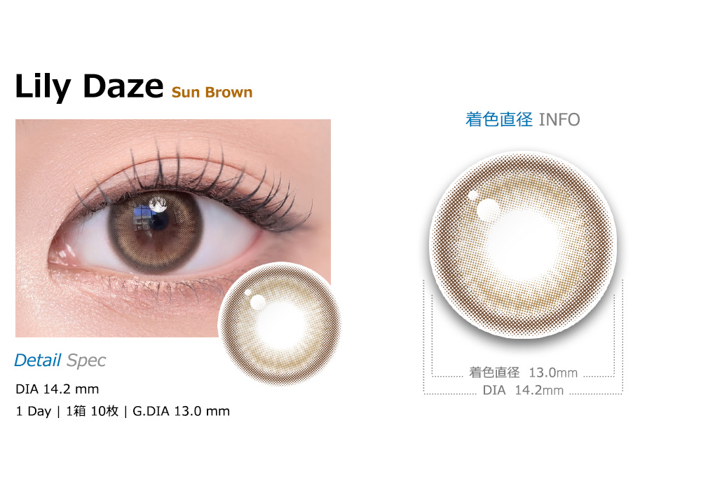 [1-Day] Lily Daze Sun Brown (10pcs)