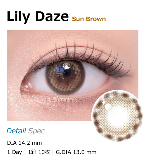[1-Day] Lily Daze Sun Brown (10pcs)