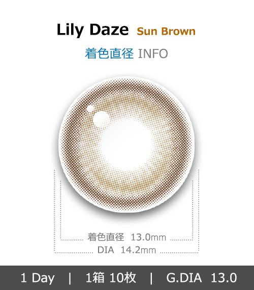 [1-Day] Lily Daze Sun Brown (10pcs)4