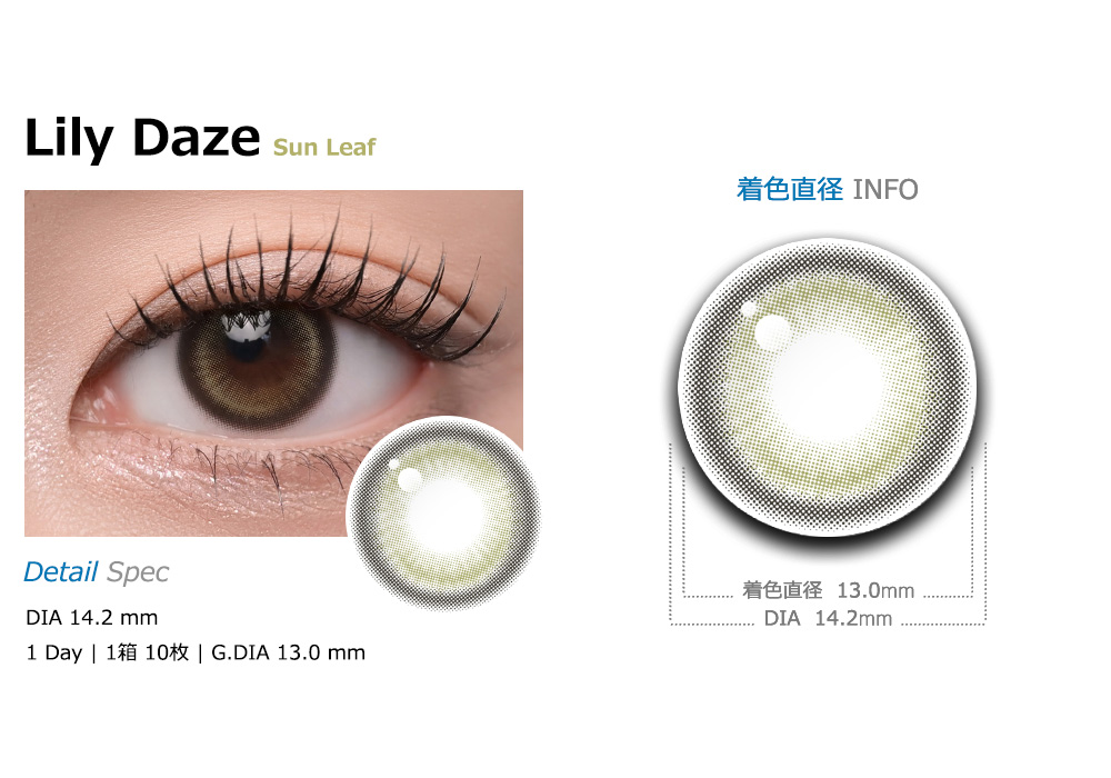 [1-Day] Lily Daze Sun Leaf (10pcs)
