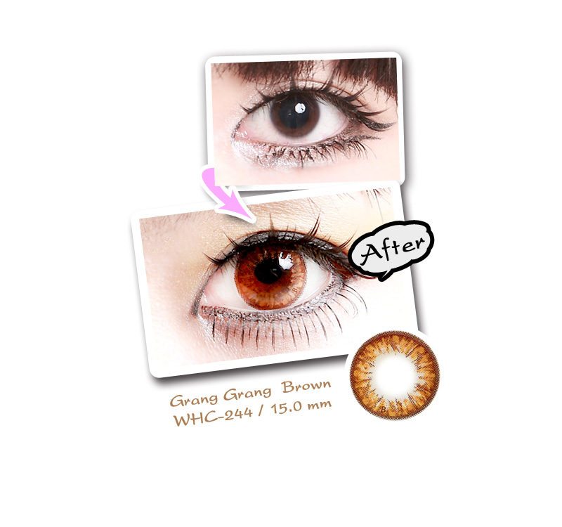 [6-Month] Grang Grang Brown (2pcs)