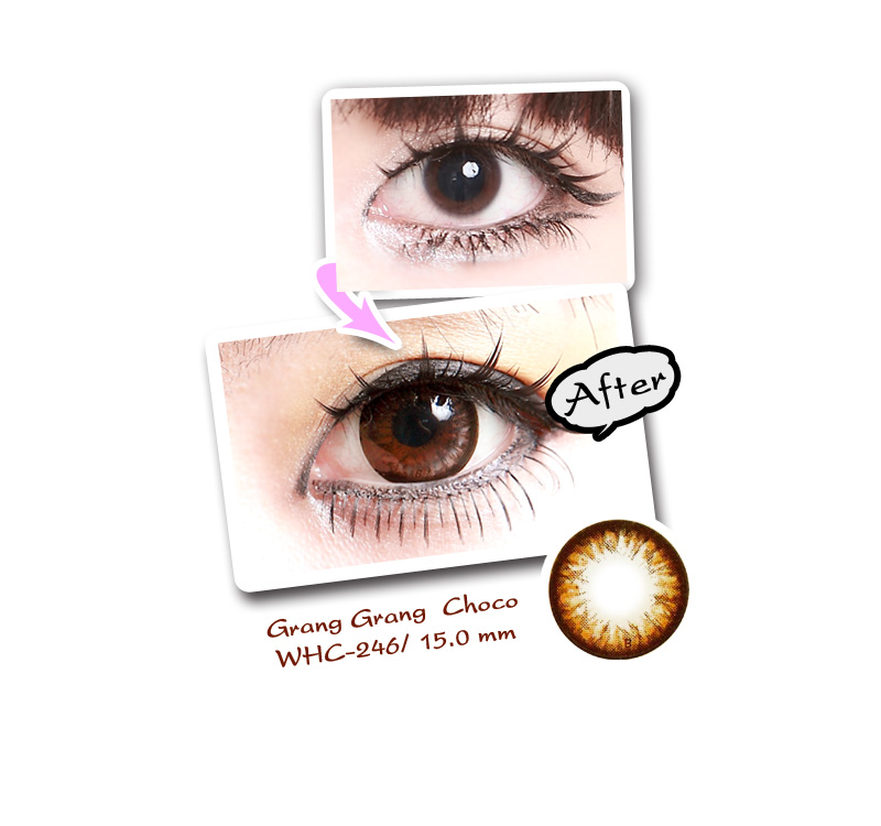 [6-Month] Grang Grang Choco (2pcs)