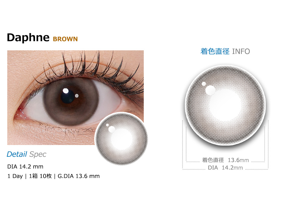 [1-Day] Daphne Brown (10pcs)