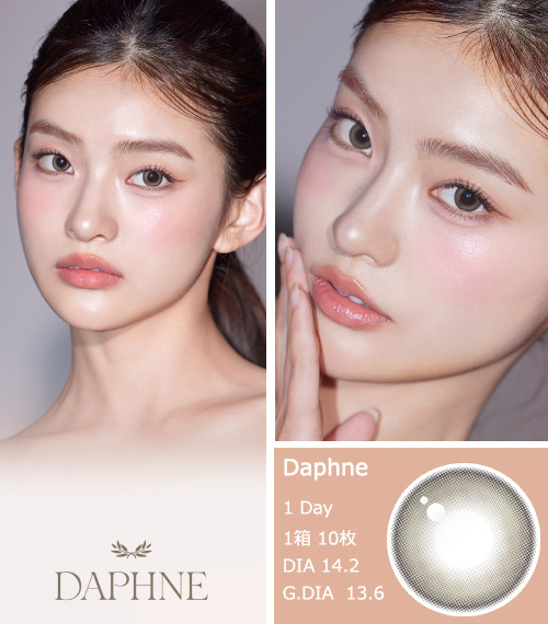 [1-Day] Daphne Beige (10pcs)3