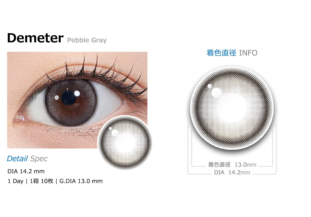 [1-Day] Demeter 13.0 Pebble Gray (10pcs)