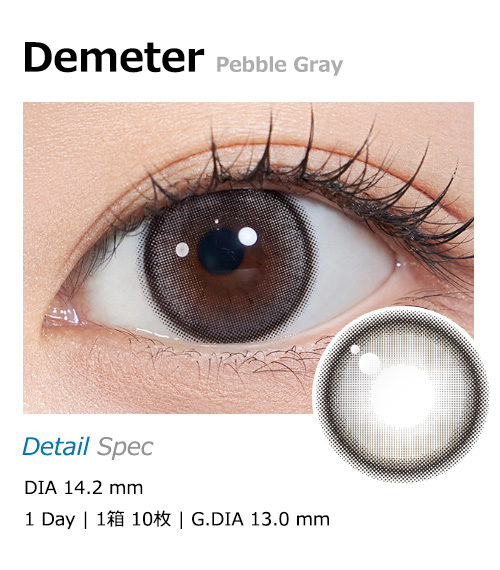 [1-Day] Demeter 13.0 Pebble Gray (10pcs)