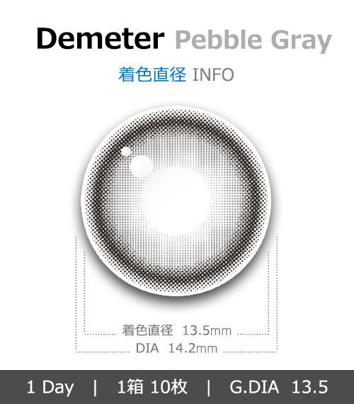 [1-Day] Demeter 13.5 Pebble Gray (10pcs)4