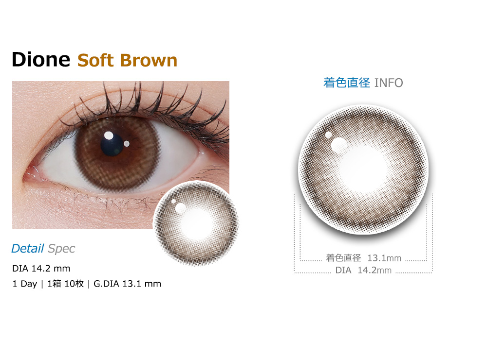 [1-Day] Dione Soft Brown (10pcs)
