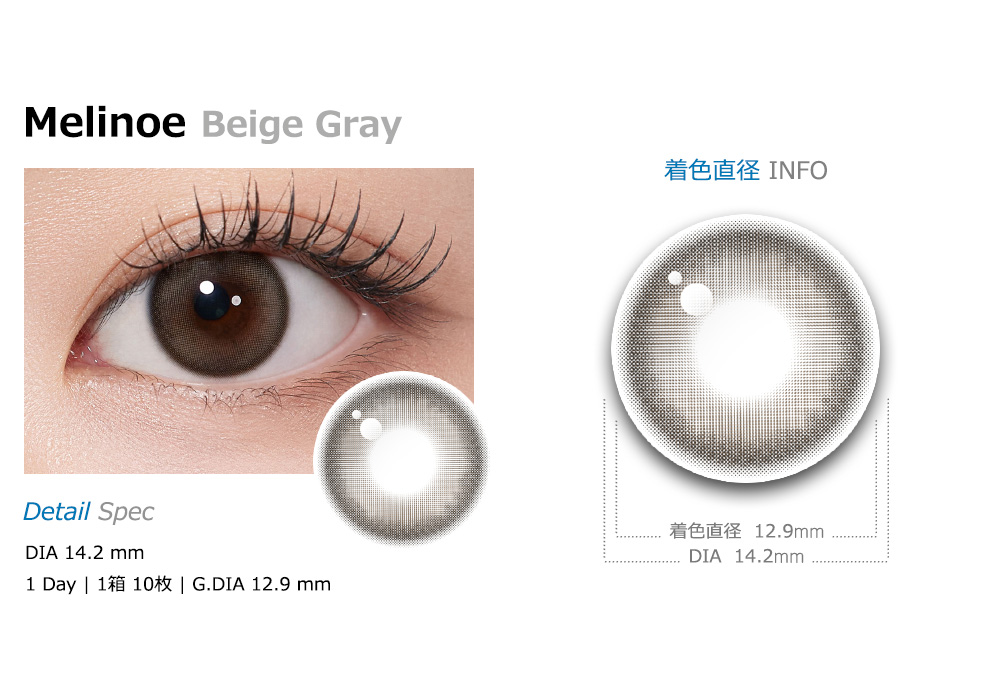 [1-Day] Melinoe Beige Gray (10pcs)