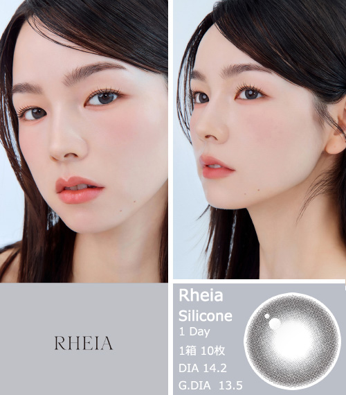 [1-Day] Rheia Charcoal Gray (10pcs)3