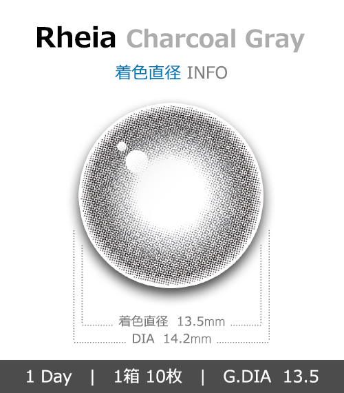 [1-Day] Rheia Charcoal Gray (10pcs)4