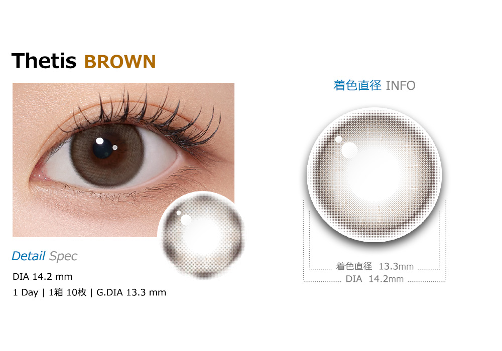 [1-Day] Thetis Brown (10pcs)