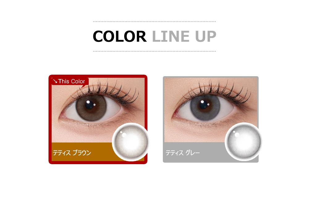 [1-Day] Thetis Brown (10pcs)