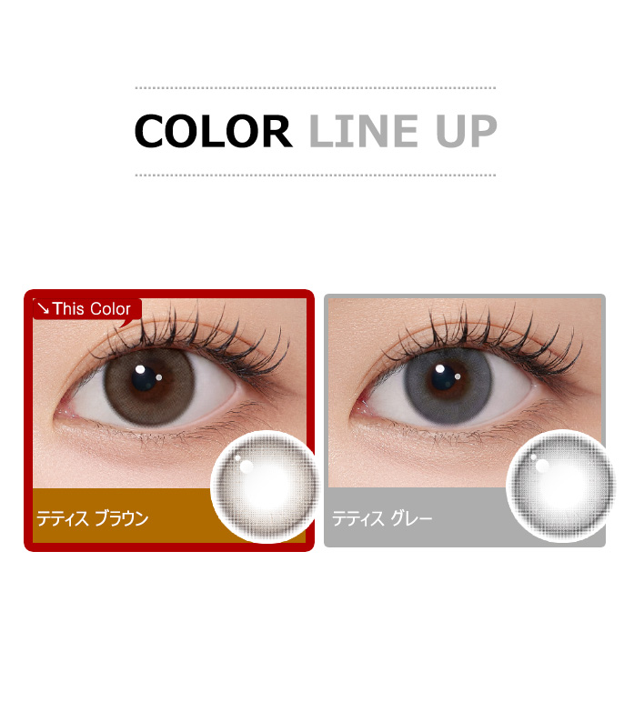 [1-Day] Thetis Brown (10pcs)5