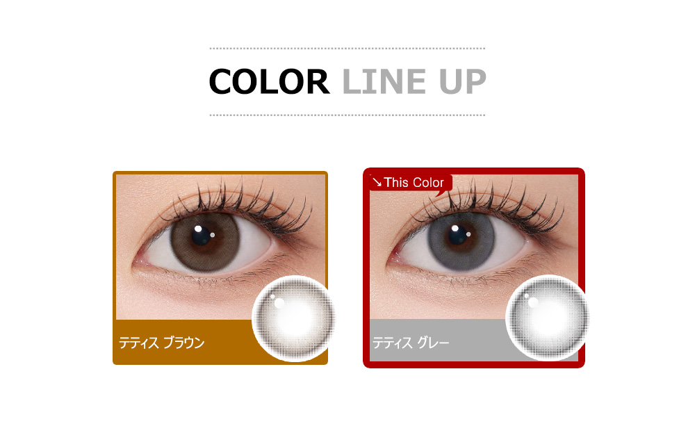 [1-Day] Thetis Gray (10pcs)