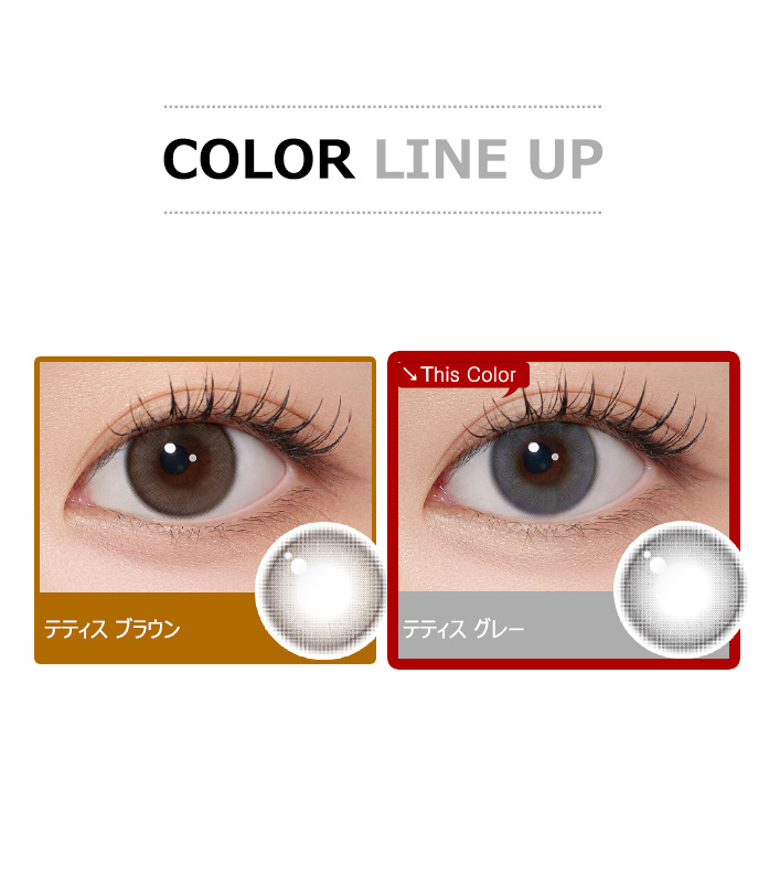 [1-Day] Thetis Gray (10pcs)5
