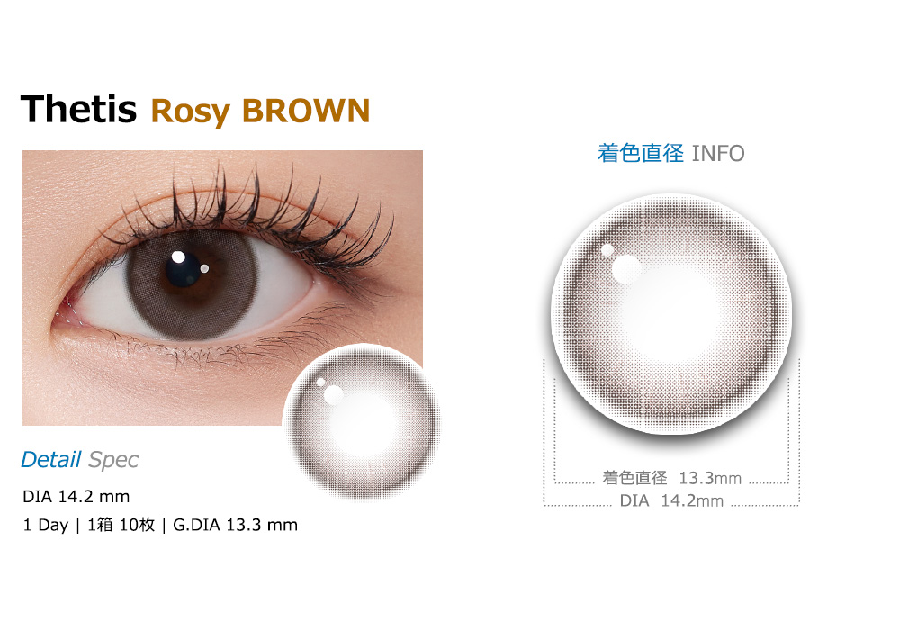 [1-Day] Thetis Rosy Brown (10pcs)