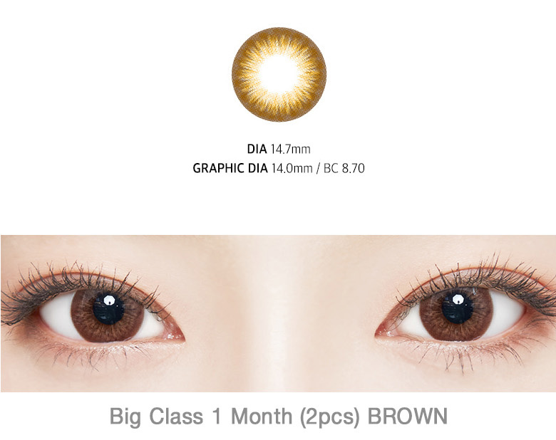 [1-Month] Big Class Silicone Brown (2pcs)