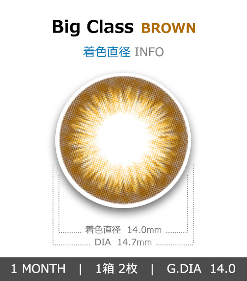 [1-Month] Big Class Silicone Brown (2pcs)4