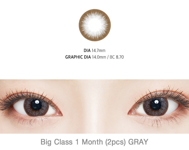 [1-Month] Big Class Silicone Gray (2pcs)