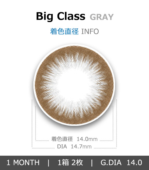 [1-Month] Big Class Silicone Gray (2pcs)4