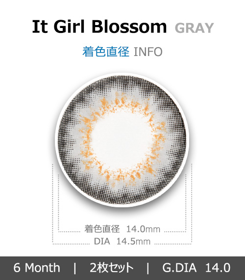 [6-Months] It Girl Blossom Gray (2pcs)4
