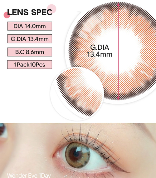 [1-Day] Wonder eye Brown (10pcs)5