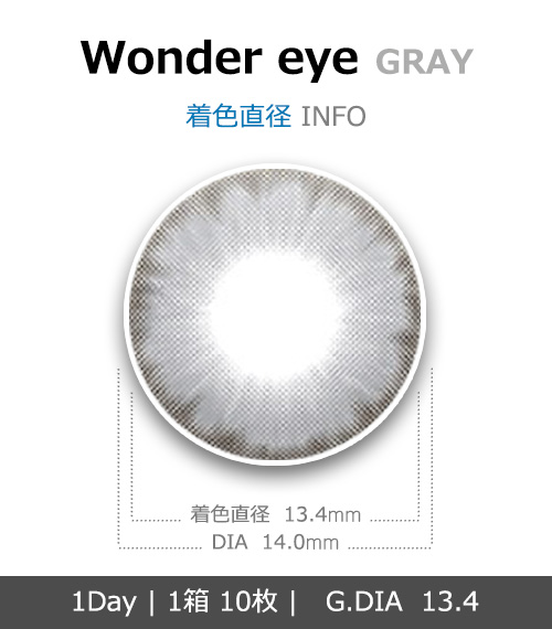 [1-Day]  Wonder eye Gray (10pcs)4