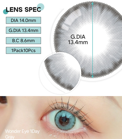 [1-Day]  Wonder eye Gray (10pcs)5
