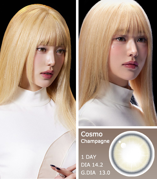 [1-Day] Cosmo Kristin Champagne (10pcs)・HapaKristin3