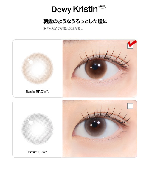 [1-Month] Dewy Kristin Basic Brown (10pcs)・HapaKristin5