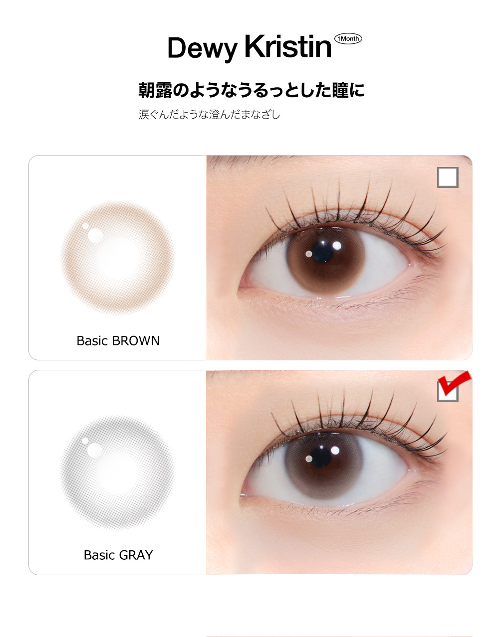 [1-Month] Dewy Kristin Basic Gray (10pcs)・HapaKristin