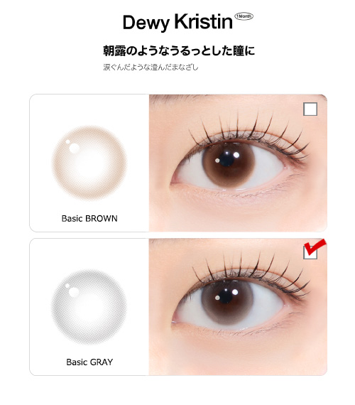 [1-Month] Dewy Kristin Basic Gray (10pcs)・HapaKristin5