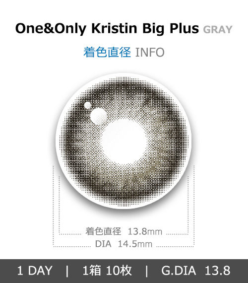 [1-Day] One&Only Kristin Big Plus Gray (10pcs)・HapaKristin4